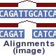 Alignments (image) (Not available)